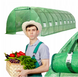 Теплиця VOLSO VS 08320, 24 м&sup2;, 8&times;3&times;2 м, зелена VS 08320 фото 2