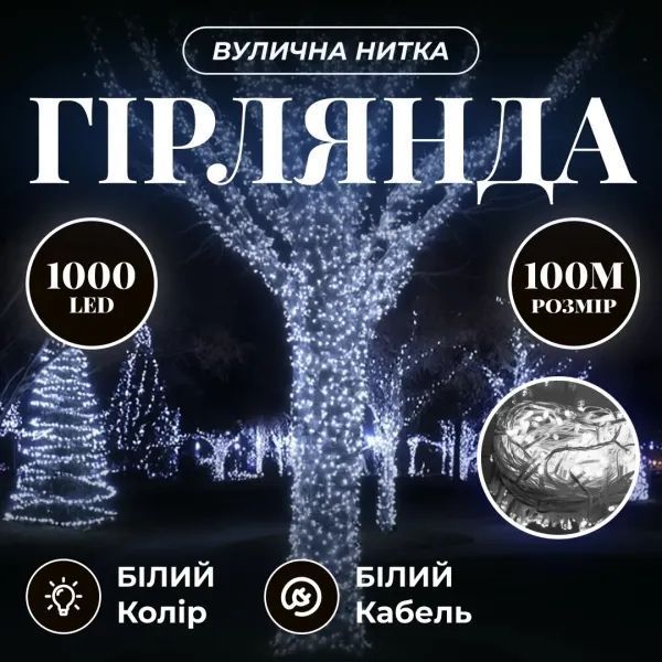 Гірлянда нитка 100 м, 1000 LED, біла CF1000L100MWW фото